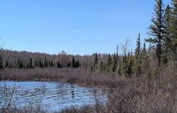 8 acres E Cable Lake Road, Amasa, MI 49903