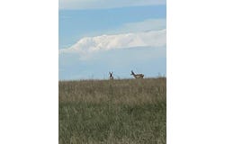 000 Rd 15, Last Chance, CO 80757