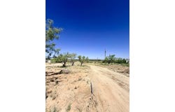 County Rd 315, Colorado City, TX 79512