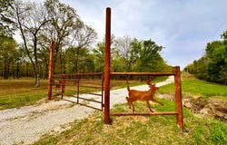 2 Rada Drive, McAlester, OK 74501