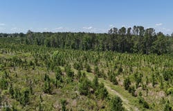 Deer Run Road, Vidalia, GA 30474