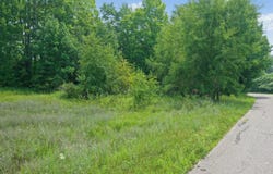 16180 THELEN Road, MOUNTAIN, WI 54149-9756