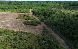 Bethel Forest Road, Tract 3, Orangeburg, SC 29133