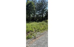 Robbies Lane, Decatur, TN 37322