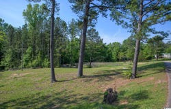 4240 GRIMES ROAD lot: 0000, ADGER, AL 35006
