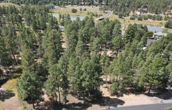 1160 S Cherokee Drive, Show Low, AZ 85901