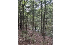 4 Bog Brook Loop, West Paris, ME 04289