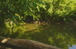 14460 Warrensburg Road, Midway, TN 37809