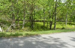 ER-153 INDIGO CIRCLE, HAZLETON, PA 18202