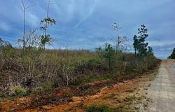 Tract B Co Rd 123, Wedowee, AL 36278