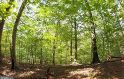 LAUREL Drive, ACCOKEEK, MD 20607