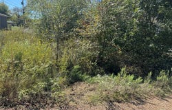 Westview Drive, Gun Barrel City, TX 75156