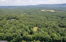 315 BRILL ROAD, STAR TANNERY, VA 22654