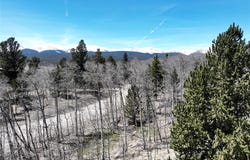 0 BEAVER RIDGE ROAD, Fairplay, CO 80440