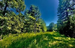 324 S Ravenwood Ln, Yellville, AR 72687
