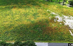 TBD Cove Road, New Hope, NC 27944