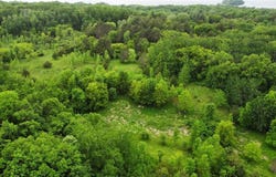 27677 E State Highway 55, Paynesville, MN 56362