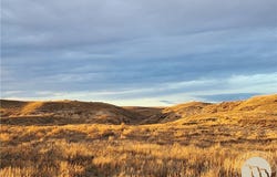 Nickwall Rd, MT 59274