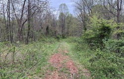 Bendview Road, Ravenswood, WV 26164
