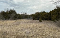 36021 Cedar Ridge Drive, Whitney, TX 76692