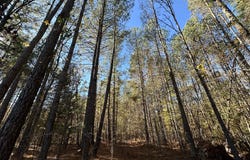 1235 EDGE Lane, Tignall, GA 30668