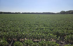 0001 16th Road, Ellsworth, KS 67439