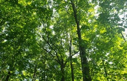 3 Liberty Lane, Phillips, WI 54555