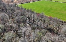 010 Bar M Farm, Andalusia, AL 36421