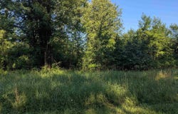 N/A Crawford Road, Omer, MI 48749