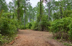 40+/- Acres Stephenson Rd, Coffee Springs, AL 36318