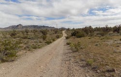 18144 Longhorn Drive, Dolan Springs, AZ 86441