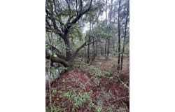 5879 Monterey Dr, Milton, FL 32583