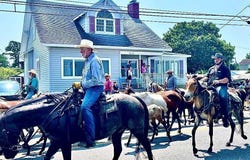 3340 MAIN ST, CHINCOTEAGUE, VA 23336
