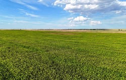 TBD Strasburg Rd, Strasburg, CO 80136