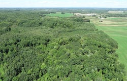 220th Avenue, Bloomer, WI 54724