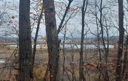 220th Street, Clitherall, MN 56524