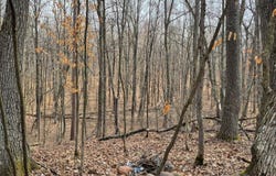 0 Town Hall Road, Springbrook, WI 54875