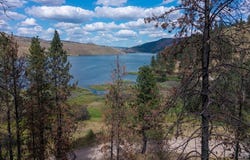 36141 N Mill Canyon Rd, Davenport, WA 99122