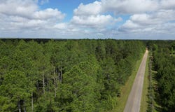 8200 BLK Grimes Rd, Century, FL 32535