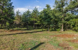 Tbd Lincoln Lake RD, Paige, TX 78659