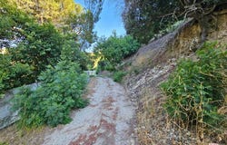 13388 Newcomb Dr, Sherman Oaks, CA 91423