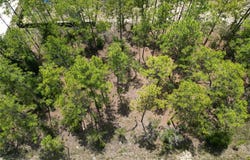 0000 SW 157TH AVENUE, OCALA, FL 34481