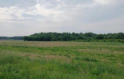 Lot 1 Witte Road, Augusta, WI 54722