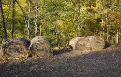 Upper Standing Rock Road, DOVER, TN 37058