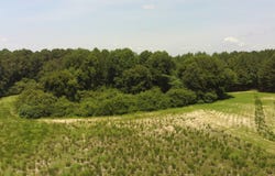 829 0 Whittington Road, Bunnlevel, NC 27244