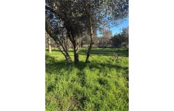 3606 Oleander, Clearlake, CA 95422