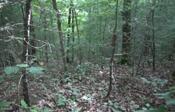 Parcel 088 AMARLEE Way, Sevierville, TN 37876