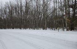 Laming Circle, Elmira, MI 49730