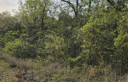 167 NEW HOPE LANE, Mountain Home, AR 72653
