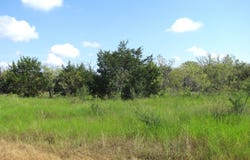 Pr 4212 lot: 12 Ph 4, Evant, TX 76525